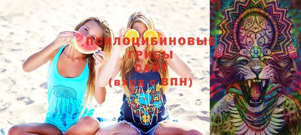 прущая мука Белокуриха