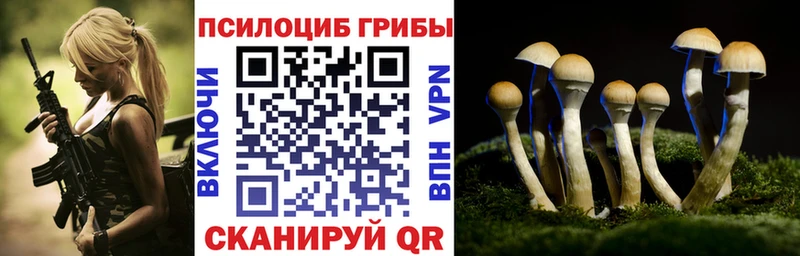Галлюциногенные грибы MAGIC MUSHROOMS  Богородицк 